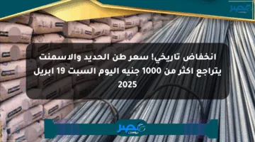 انخفاض تاريخي! سعر طن الحديد والأسمنت يتراجع أكثر من 1000 جنيه اليوم السبت 19 أبريل 2025